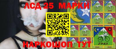 mdpv Кандалакша