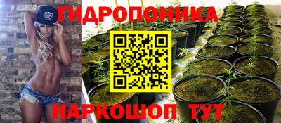 mdpv Кандалакша